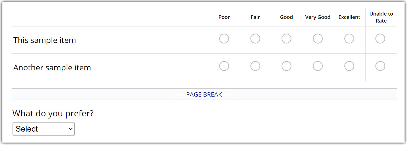 Custom Survey Preview