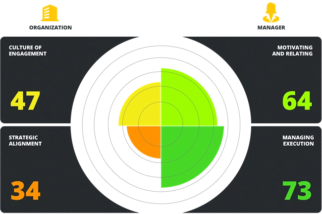 Graphic shows the survey results: culture of satisfaction and strategic alignment with the organization; motivating and relating to the manager and managing execution.