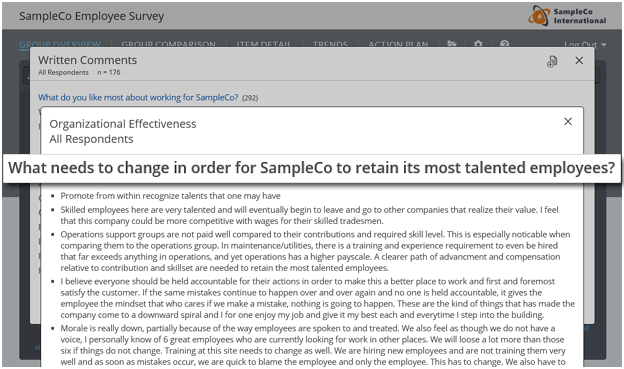 Employee Survey Comments